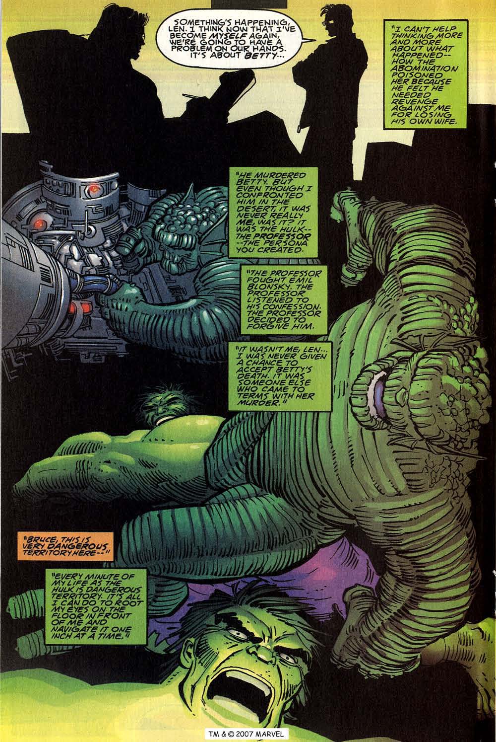 The Incredible Hulk (2000) Issue #24 #13 - English 18