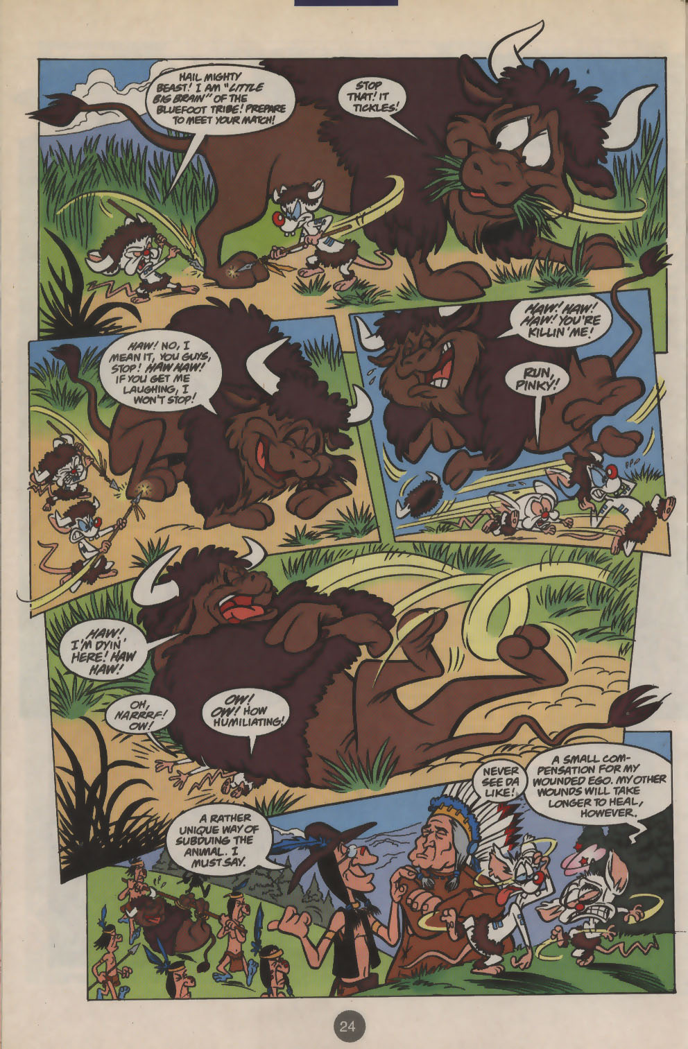 Read online Pinky and The Brain comic -  Issue #2 - 19