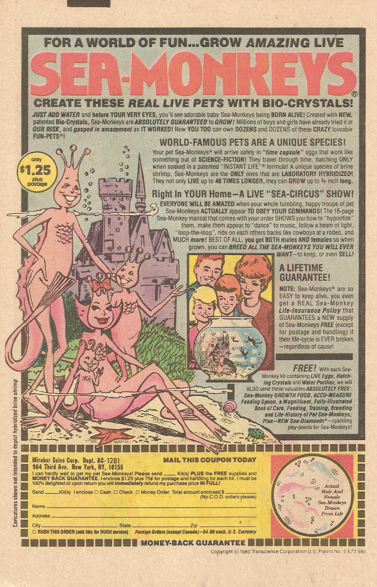 Read online Jughead (1965) comic -  Issue #319 - 34