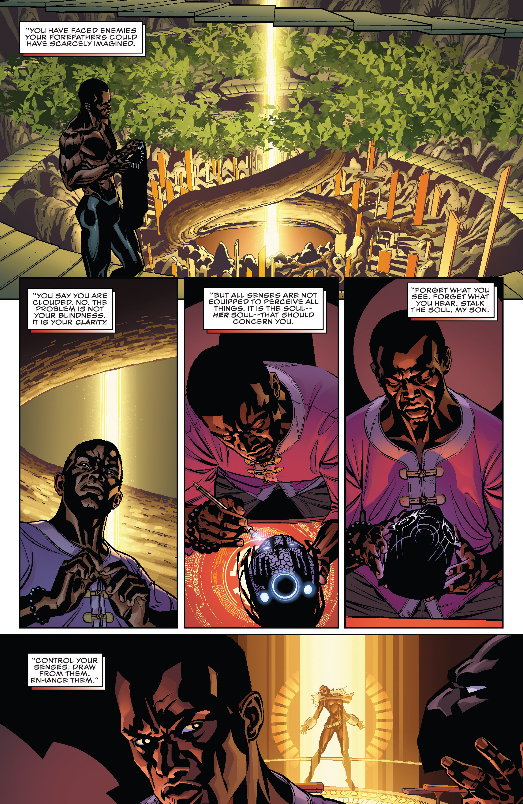 Read online Black Panther (2016) comic -  Issue #3 - 9