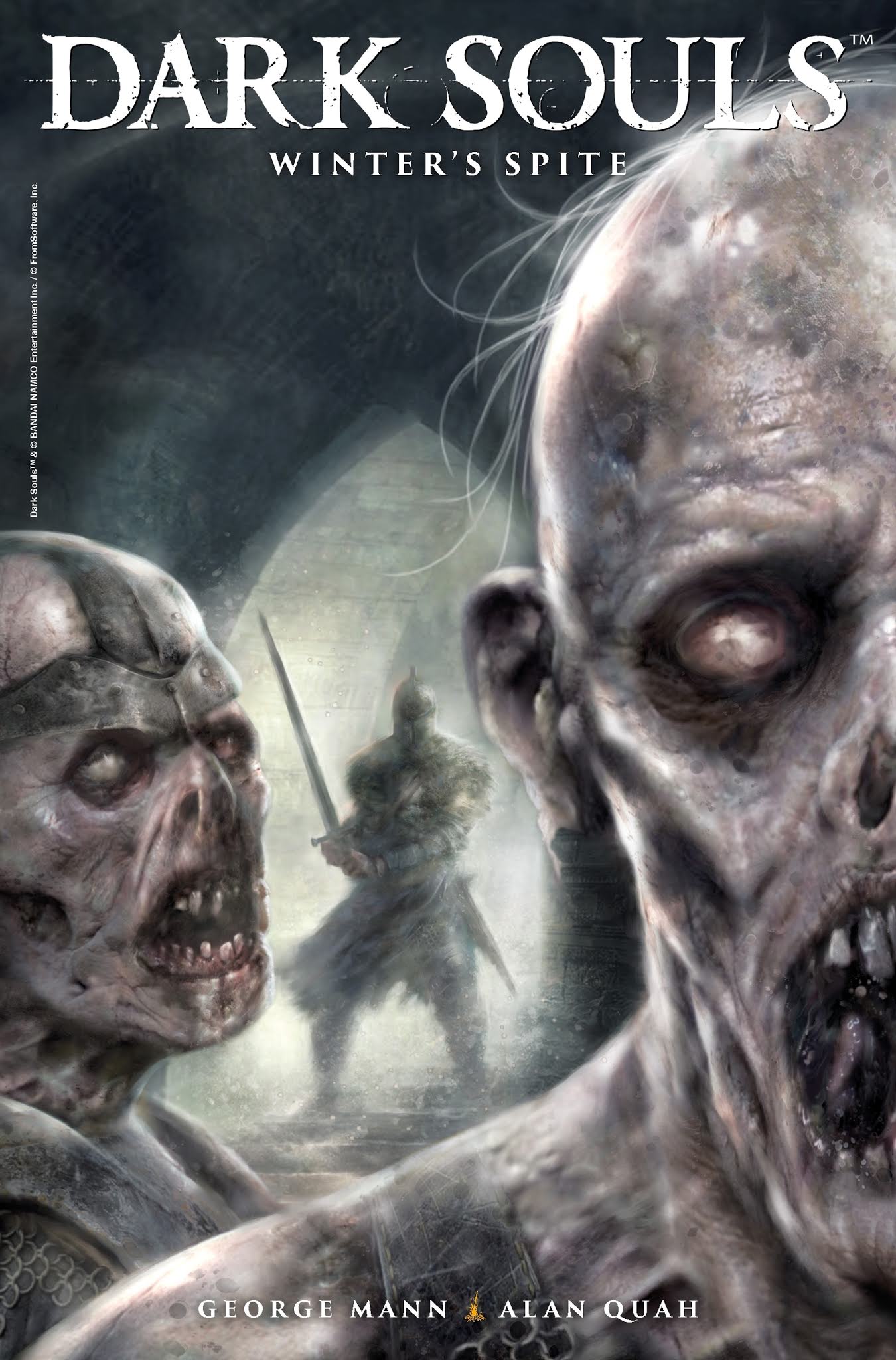 Read online Dark Souls: Winter's Spite comic -  Issue #2 - 2