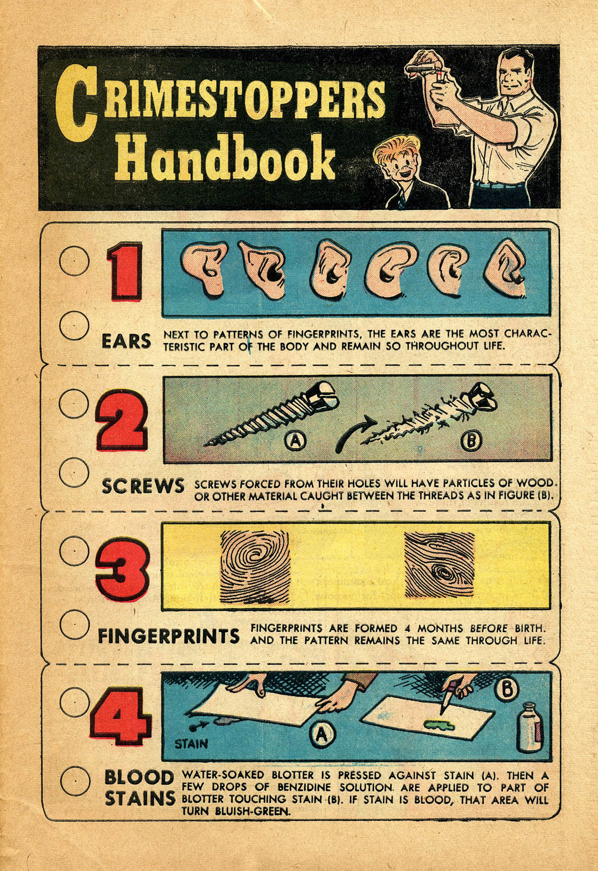 Read online Dick Tracy comic -  Issue #46 - 31