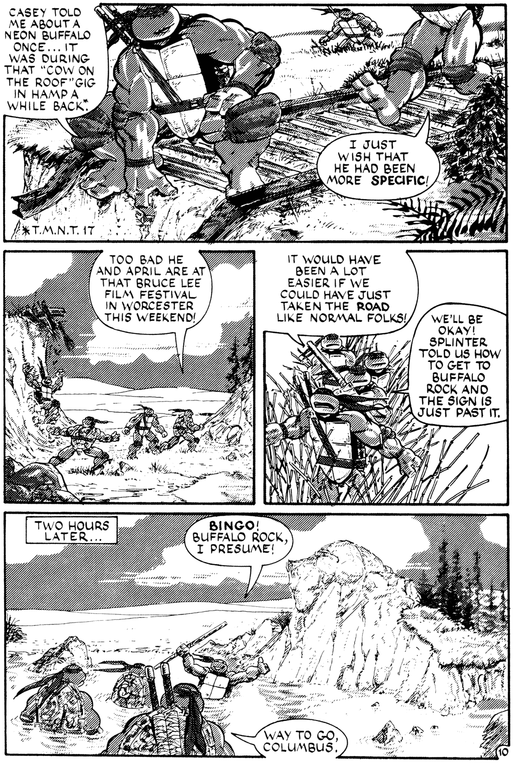 Teenage Mutant Ninja Turtles (1984) Issue #27 #27 - English 10