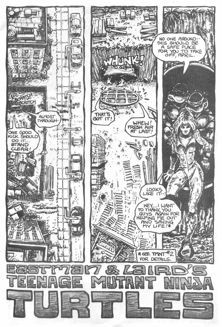 Read online Teenage Mutant Ninja Turtles (1984) comic -  Issue #3 - 4