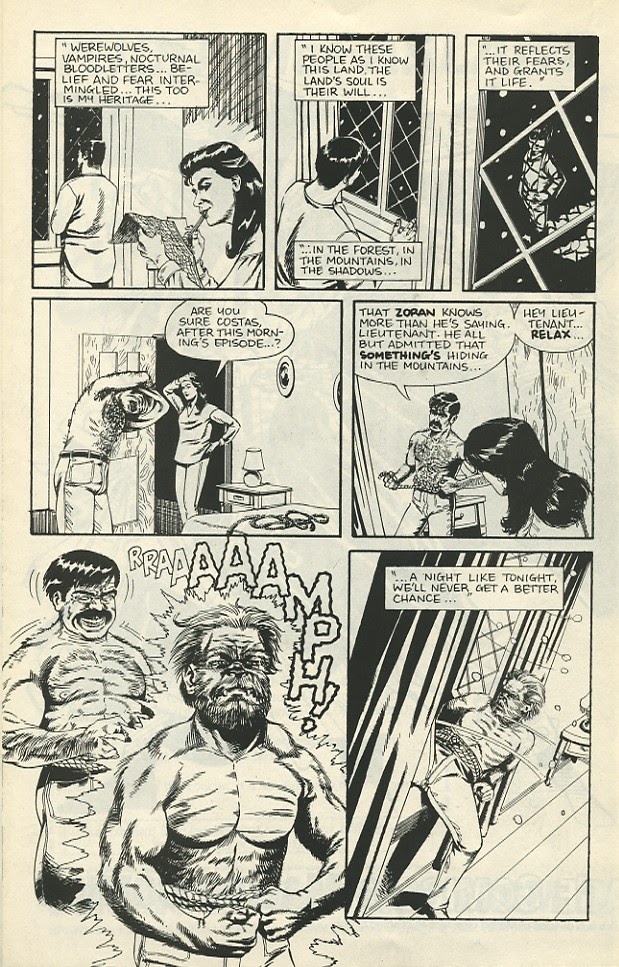 Read online Southern Squadron Freedom of Information Act comic -  Issue #4 - 20