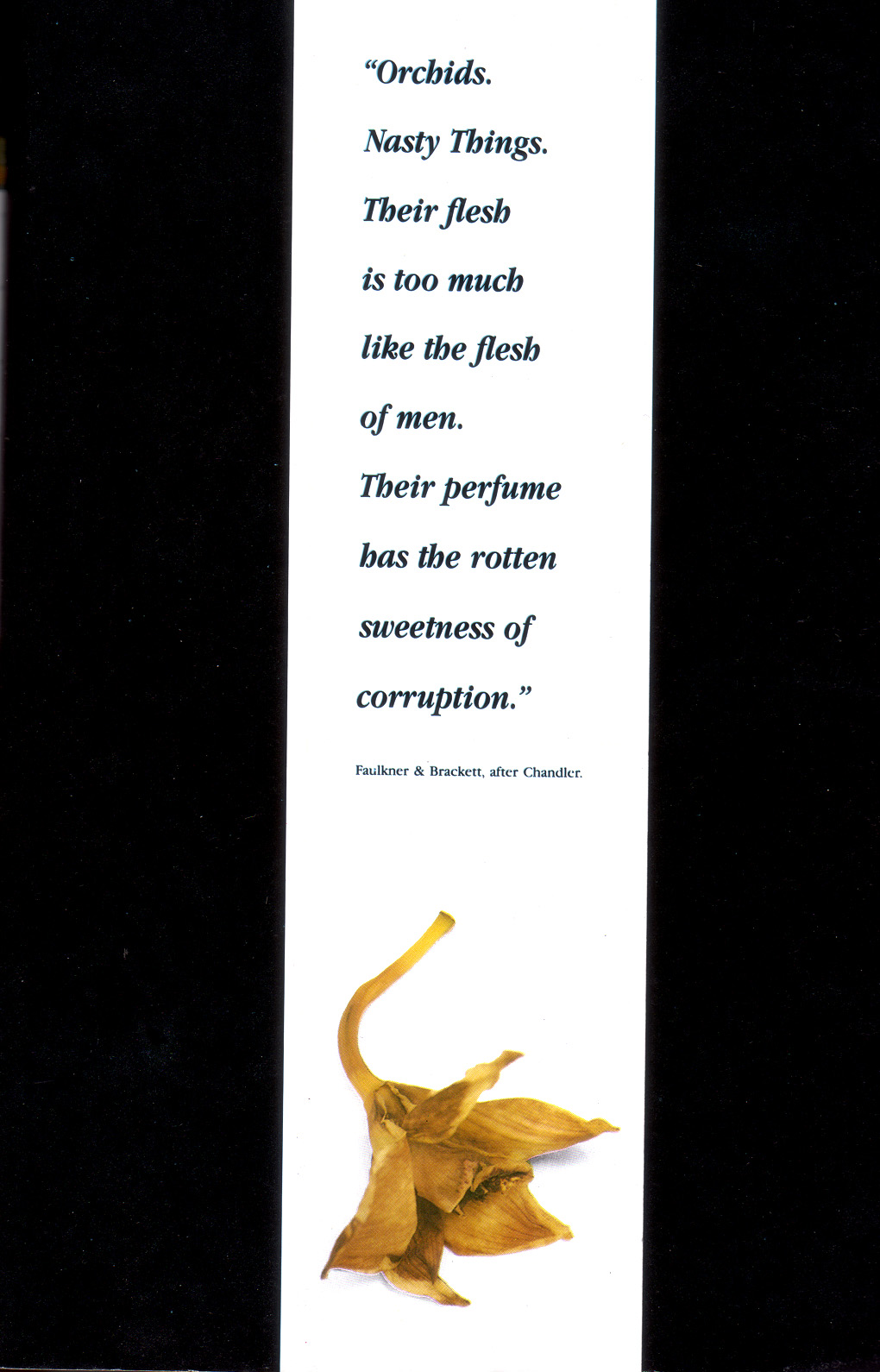 Read online New Statesmen comic -  Issue # TPB - 238