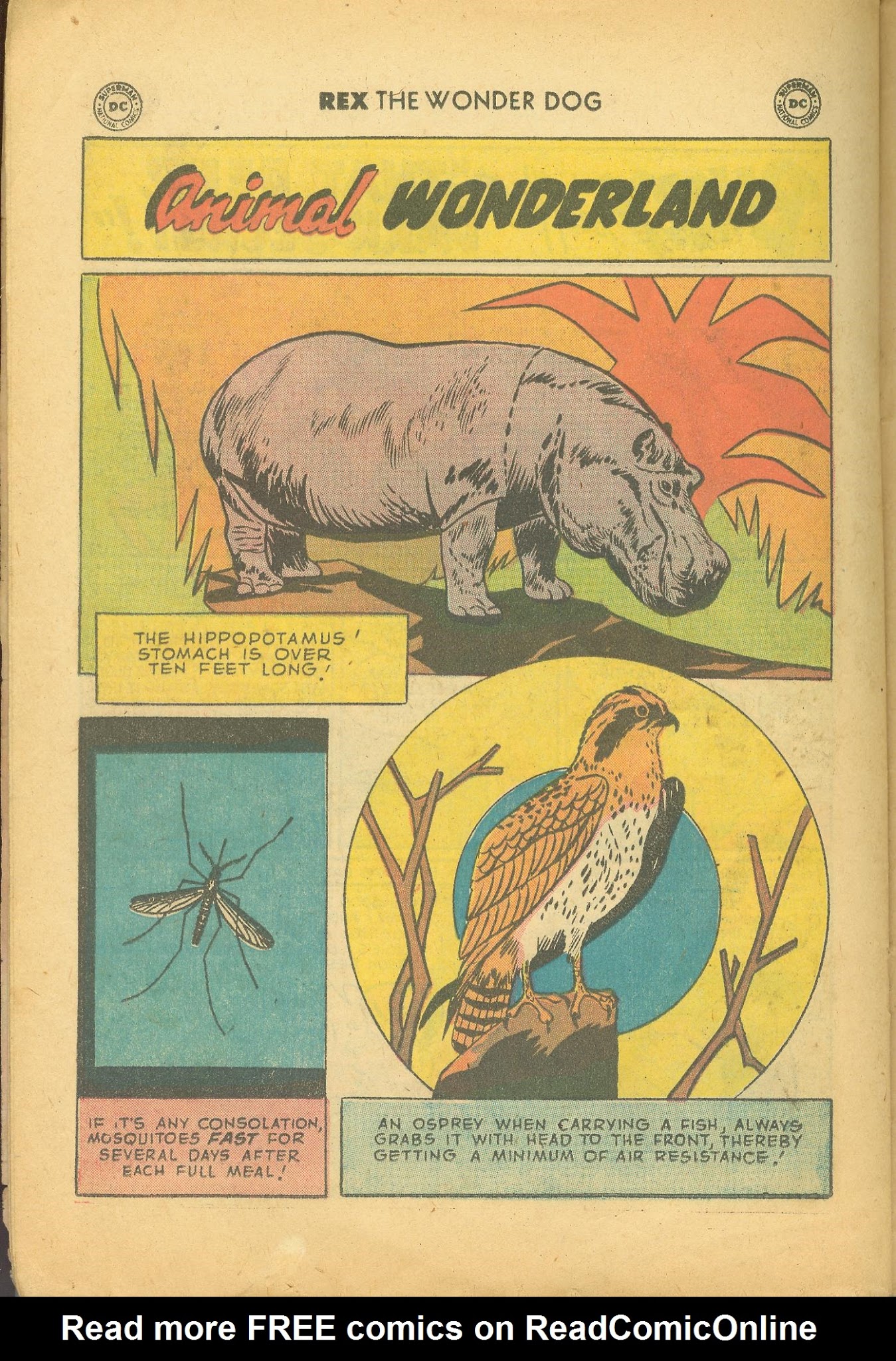 Read online The Adventures of Rex the Wonder Dog comic -  Issue #39 - 22