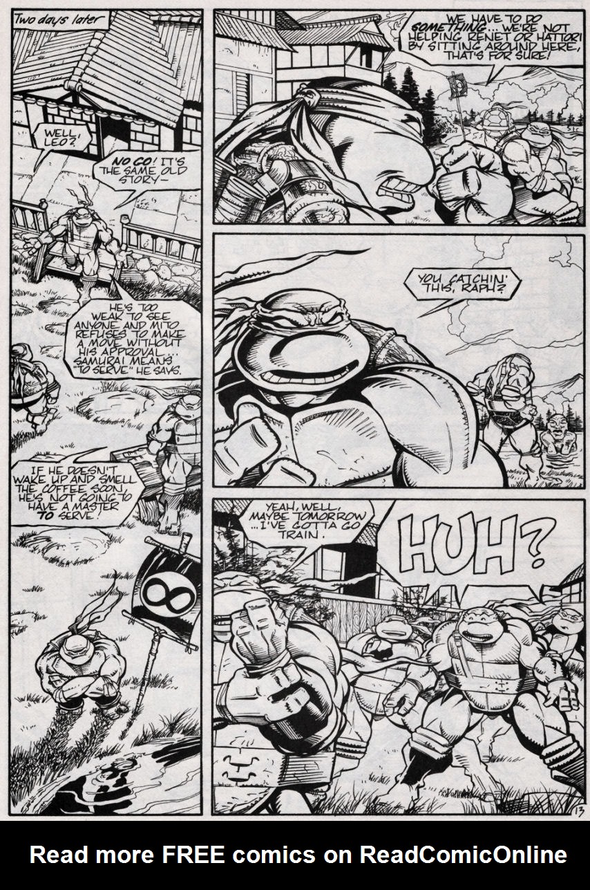 Teenage Mutant Ninja Turtles (1984) Issue #47 #47 - English 14