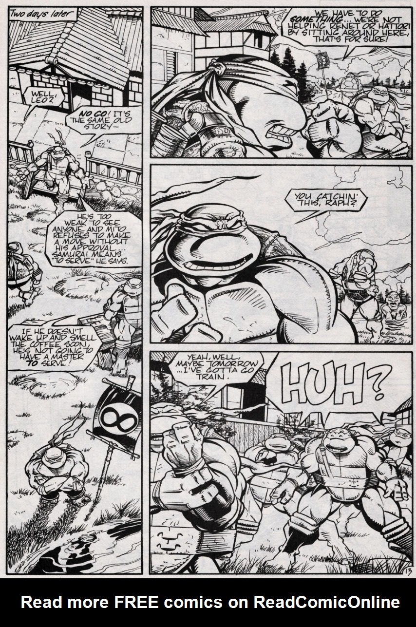 Read online Teenage Mutant Ninja Turtles (1984) comic -  Issue #47 - 14