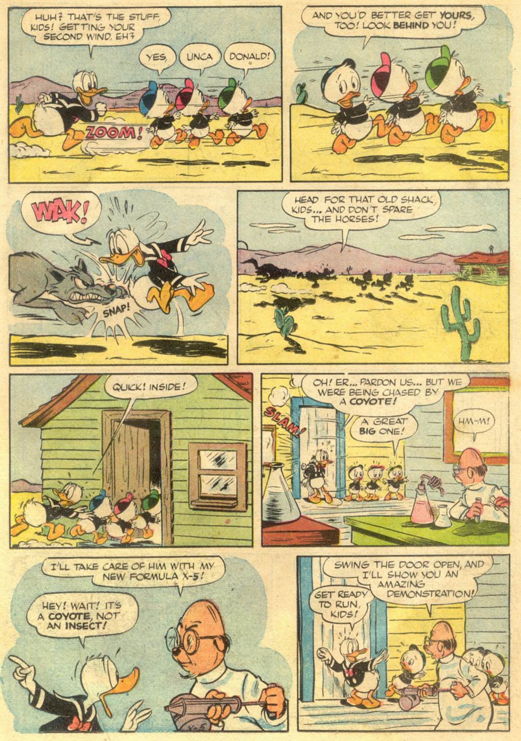 Read online Walt Disney's Donald Duck (1952) comic -  Issue #29 - 19