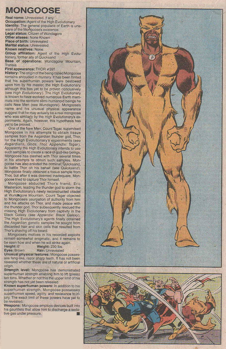 Read online The Official Handbook of the Marvel Universe: Update '89 comic -  Issue #5 - 19