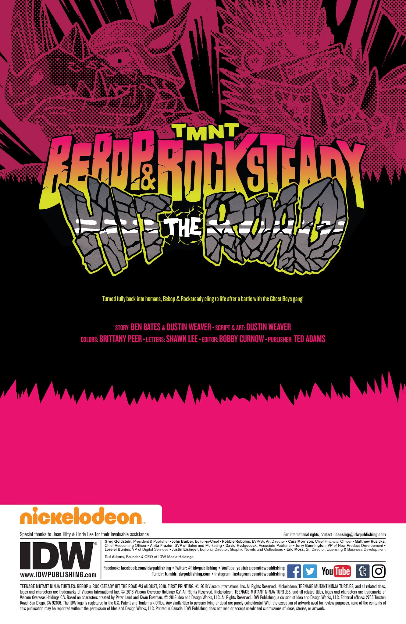 Read online Teenage Mutant Ninja Turtles: Bebop & Rocksteady Hit the Road comic -  Issue #3 - 2