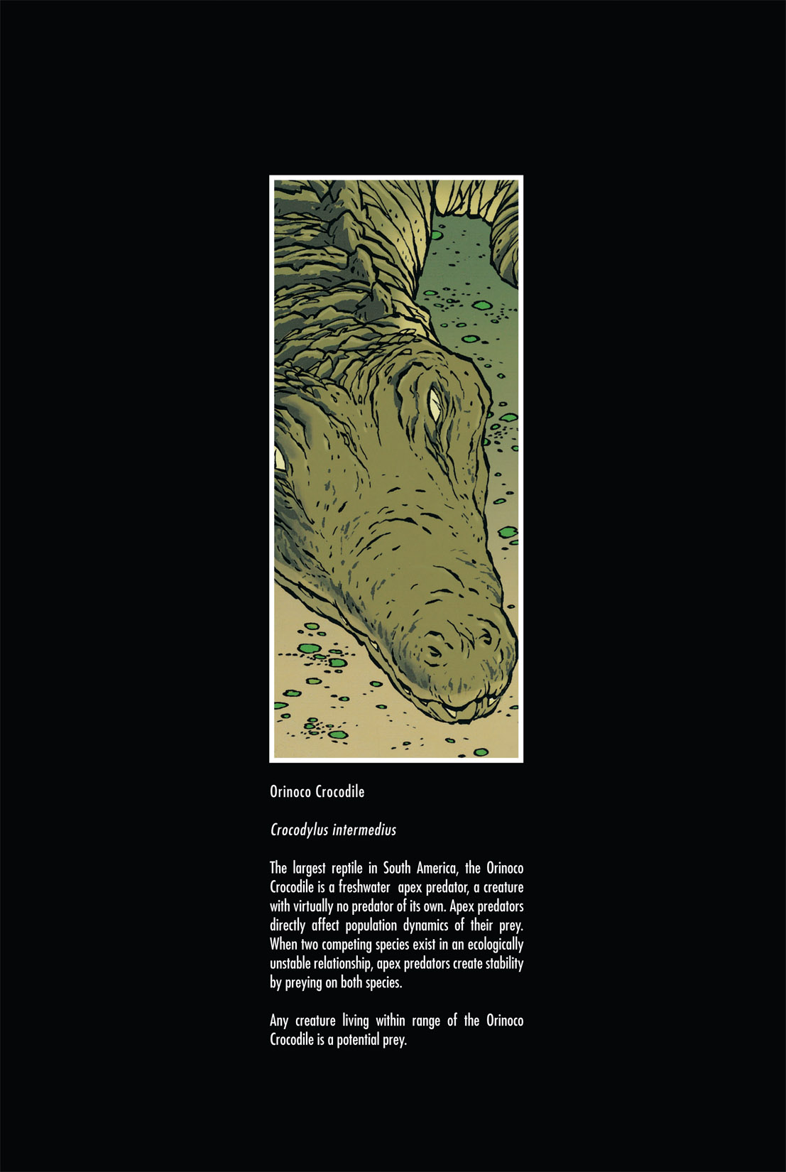 Read online The Killer comic -  Issue # TPB 2 - 187