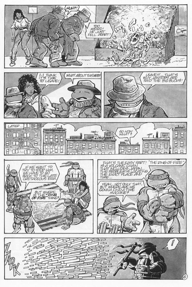 Tales of the Teenage Mutant Ninja Turtles issue 7 - Page 8