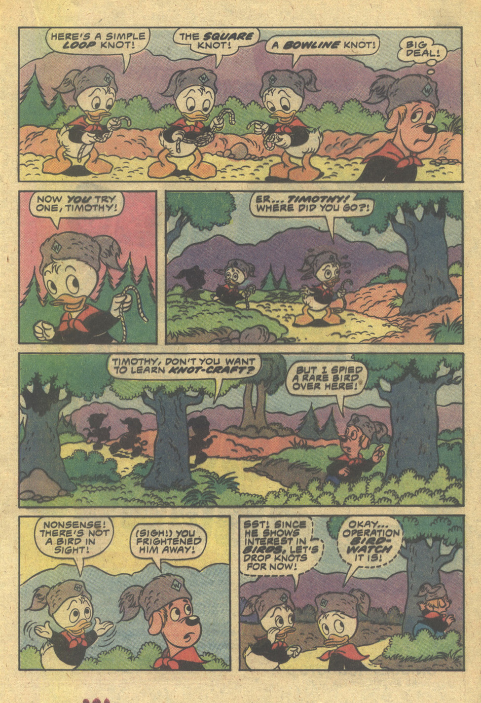 Read online Huey, Dewey, and Louie Junior Woodchucks comic -  Issue #67 - 17