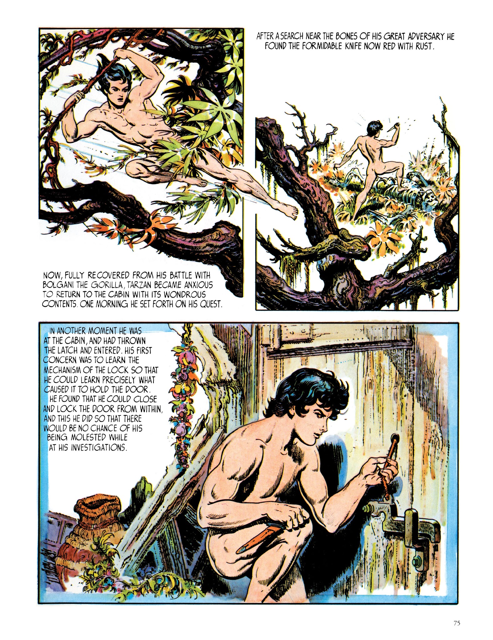 Read online Edgar Rice Burroughs' Tarzan: Burne Hogarth's Lord of the Jungle comic -  Issue # TPB - 75