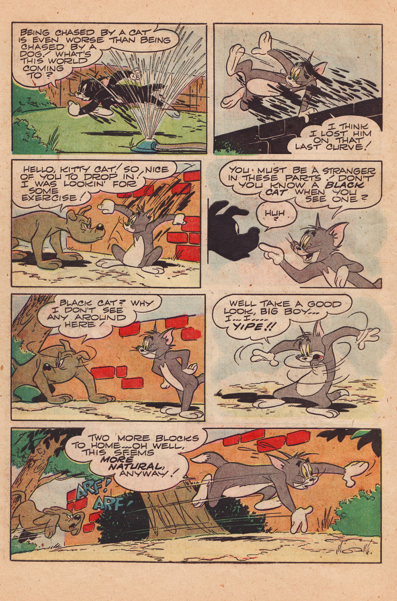 Read online Tom & Jerry Comics comic -  Issue #85 - 18