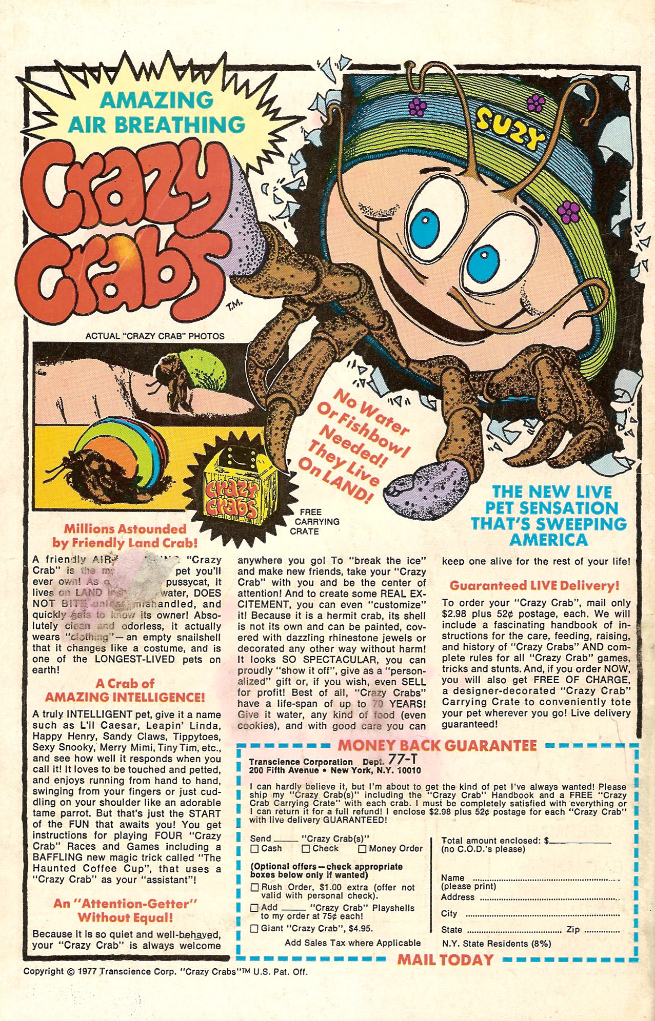 Read online Yosemite Sam and Bugs Bunny comic -  Issue #53 - 36