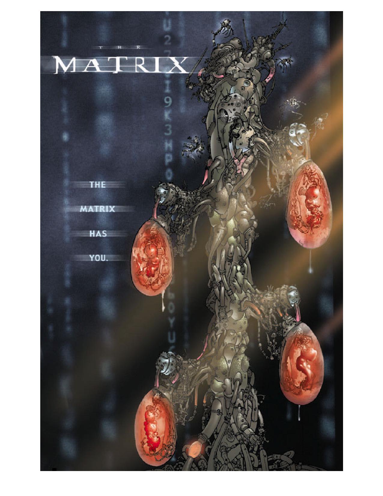 Read online The Matrix Comics comic -  Issue # _Pinups - 12