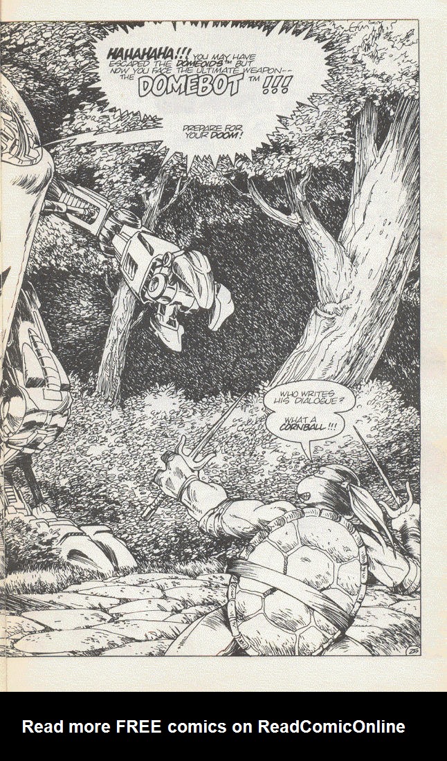 Read online Teenage Mutant Ninja Turtles (1984) comic -  Issue #15 - 28