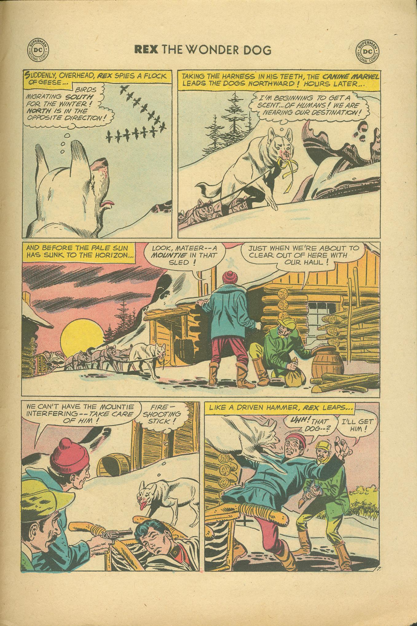 Read online The Adventures of Rex the Wonder Dog comic -  Issue #38 - 31