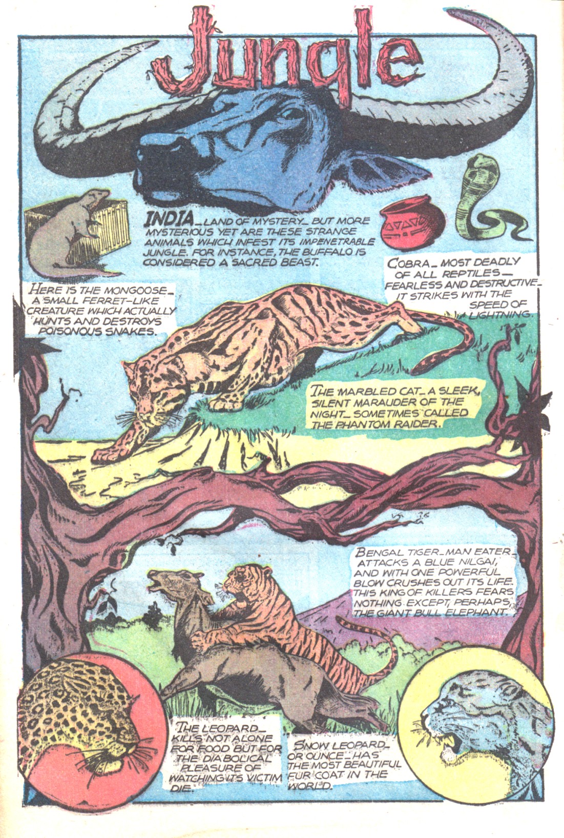 Read online Wambi Jungle Boy comic -  Issue #17 - 16