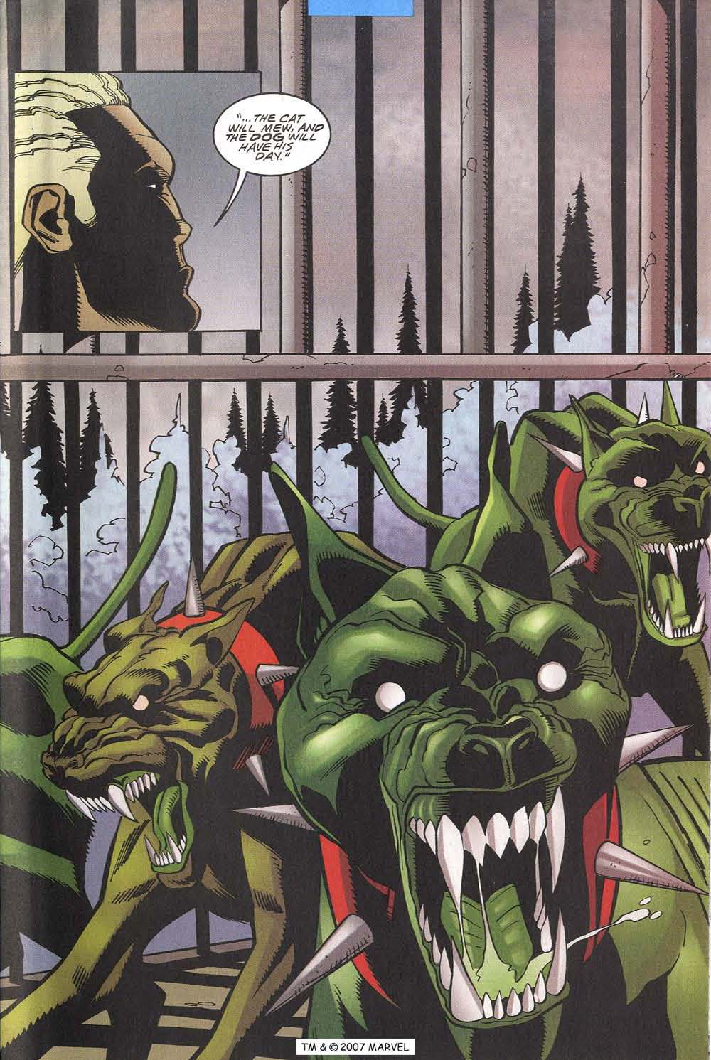 The Incredible Hulk (2000) Issue #14 #3 - English 27