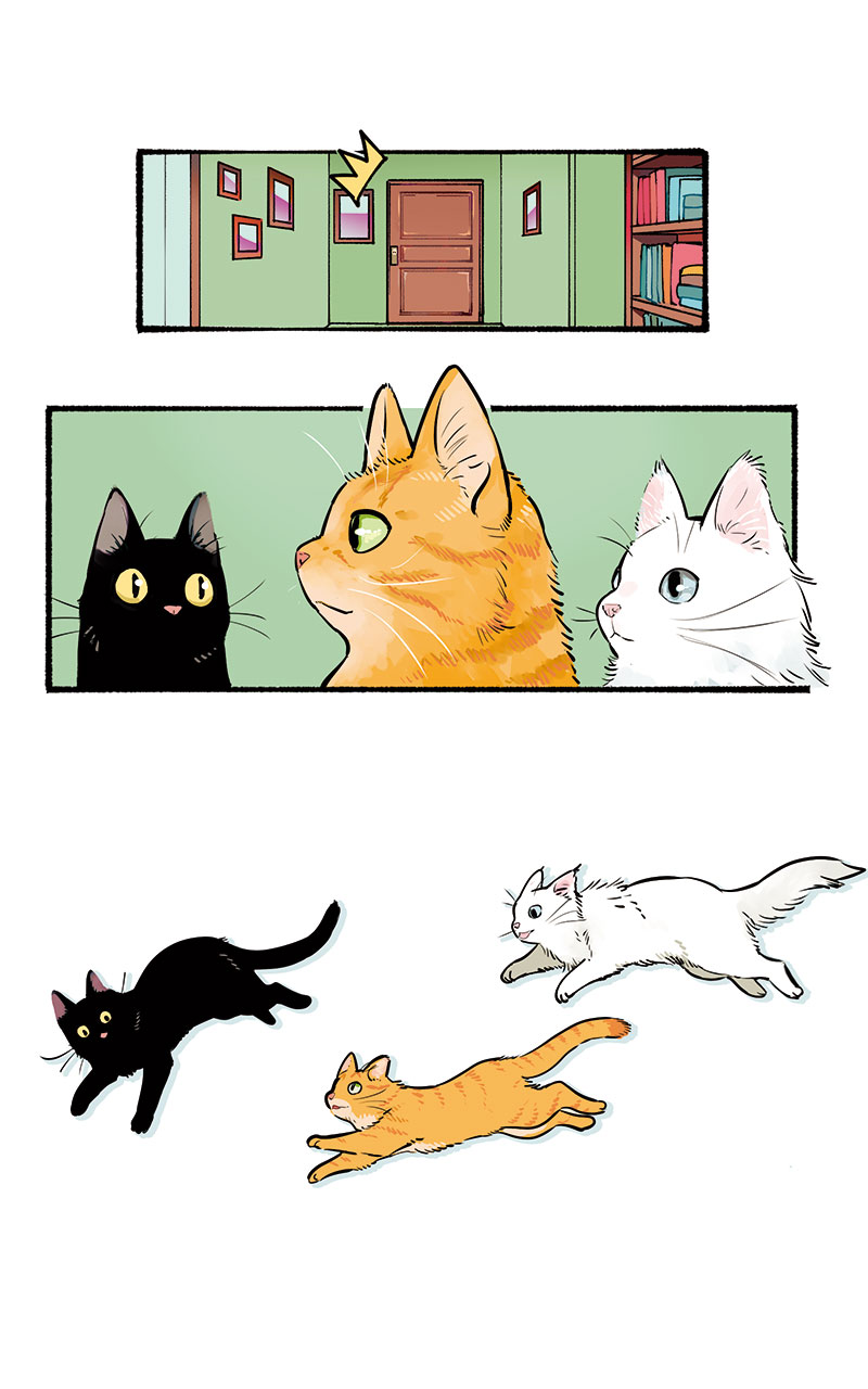Marvel Meow: Infinity Comic issue 1 - Page 7