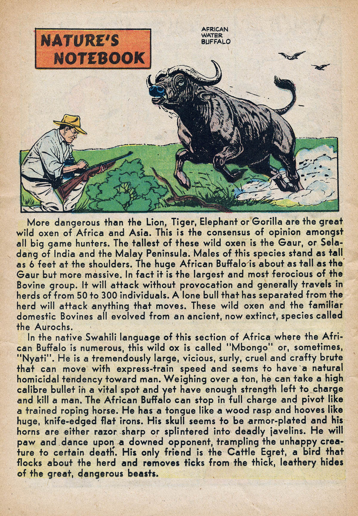 Read online Little Ambrose comic -  Issue # Full - 24