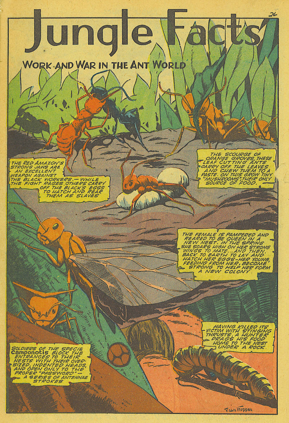 Read online Jungle Comics comic -  Issue #62 - 28