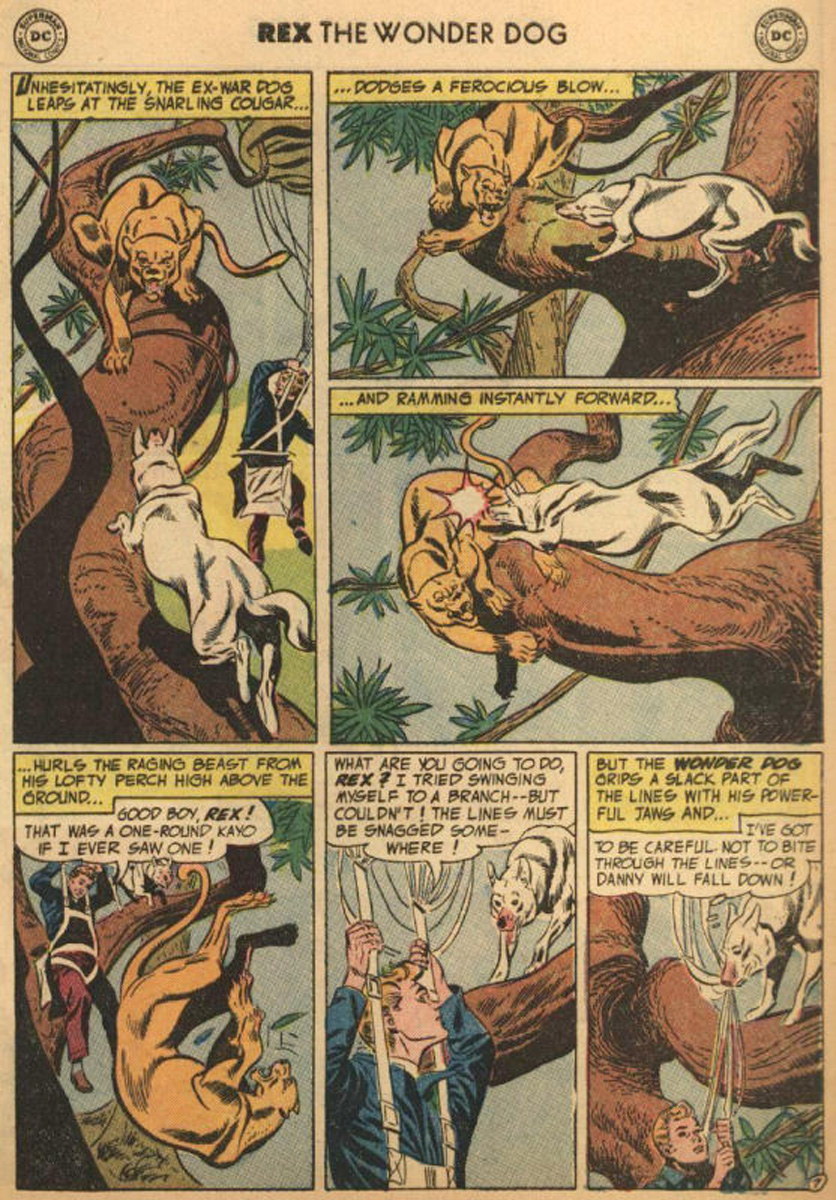 Read online The Adventures of Rex the Wonder Dog comic -  Issue #21 - 9