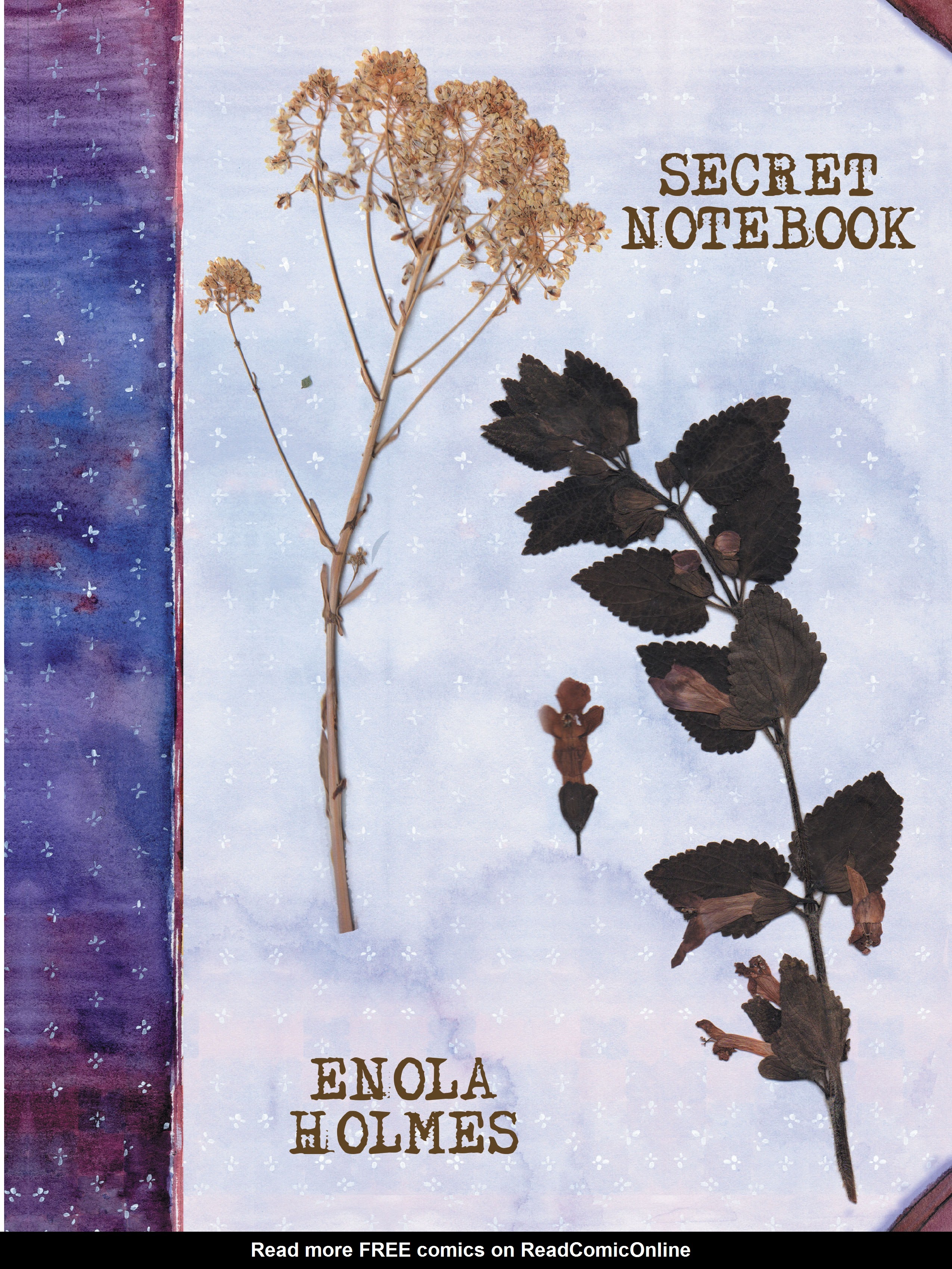 Read online An Enola Holmes Mystery comic -  Issue #1 - 61