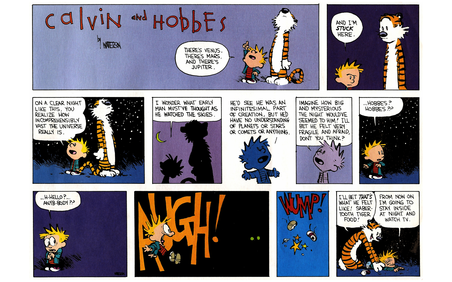 Read online Calvin and Hobbes comic -  Issue #8 - 4