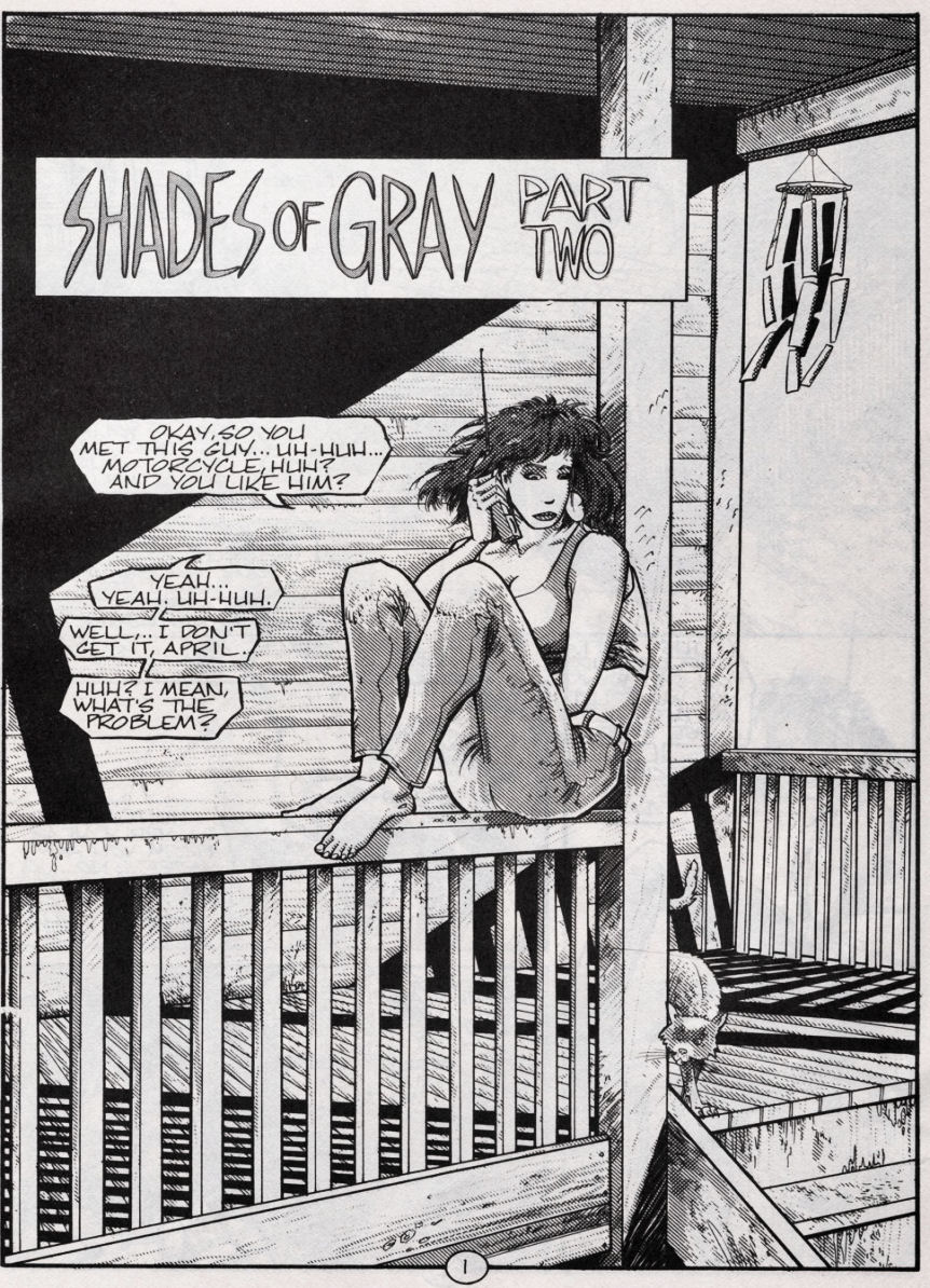 Read online Teenage Mutant Ninja Turtles (1984) comic -  Issue #49 - 2