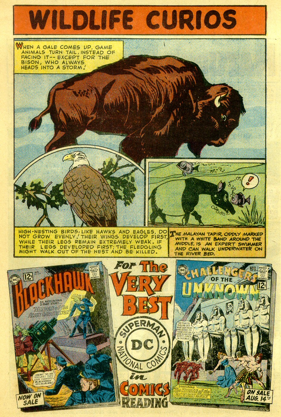 Read online My Greatest Adventure comic -  Issue #72 - 23