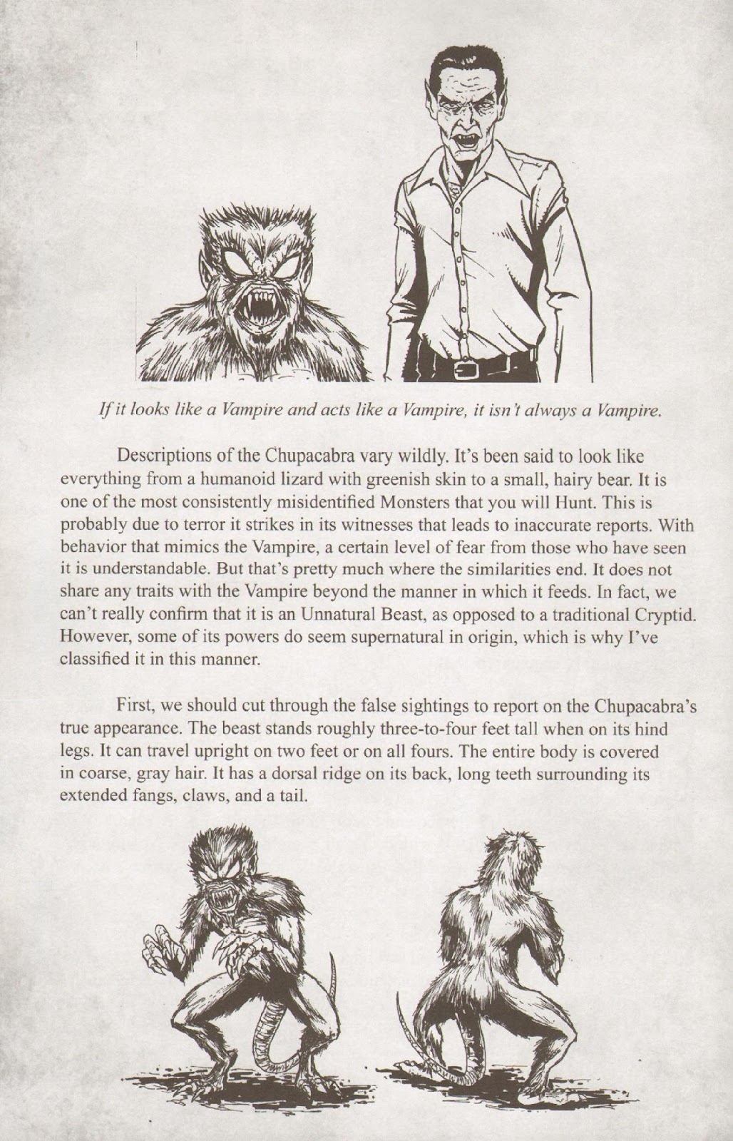 The Monster Hunters' Survival Guide issue 4 - Page 13