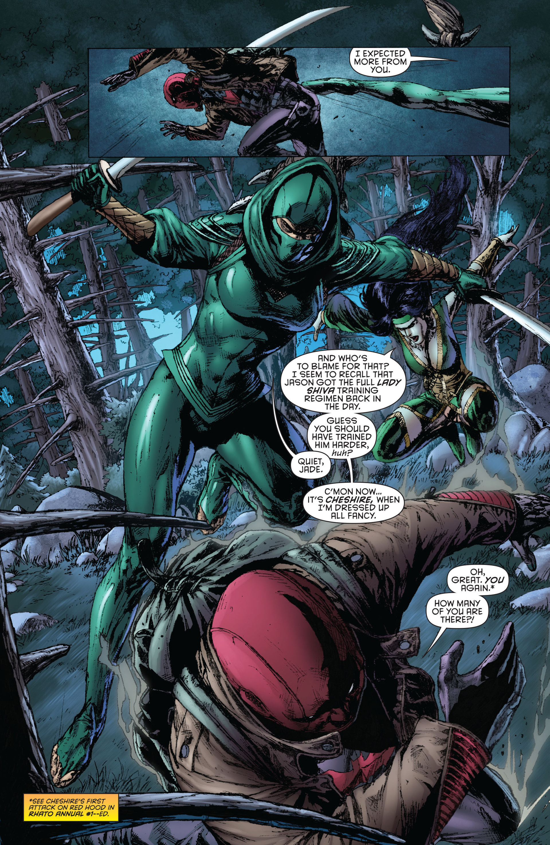 Read online Red Hood And The Outlaws (2011) comic -  Issue #21 - 8