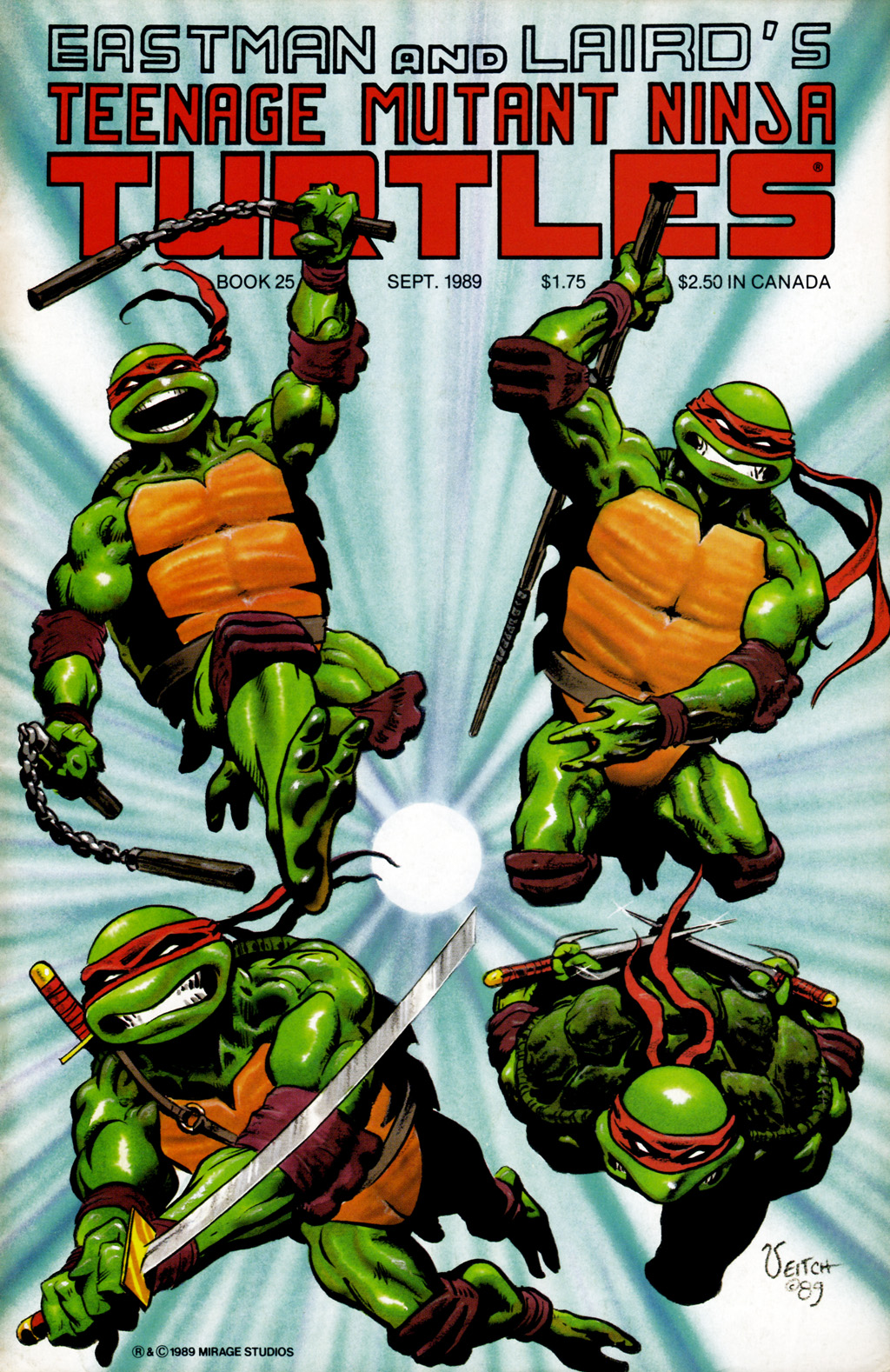 Read online Teenage Mutant Ninja Turtles (1984) comic -  Issue #25 - 1