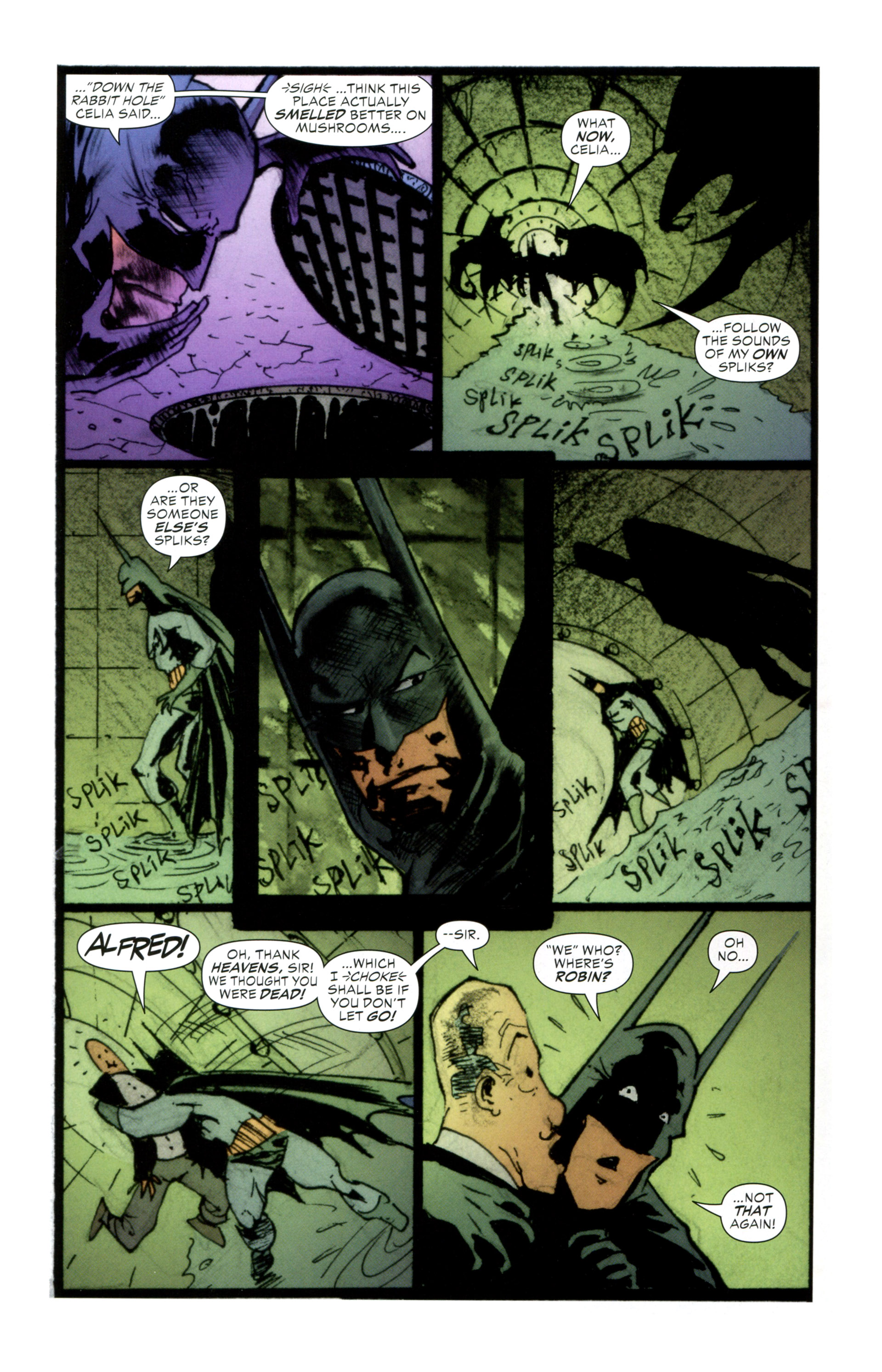 Read online Batman: Through The Looking Glass comic -  Issue # TPB - 102