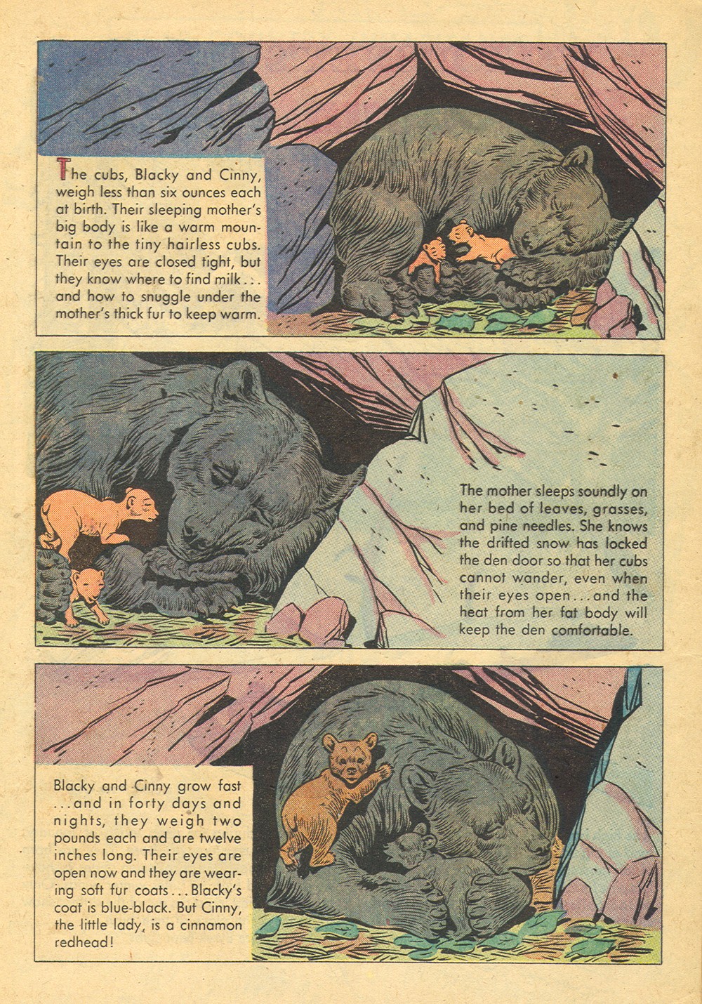 Read online Four Color Comics comic -  Issue #758 - 4