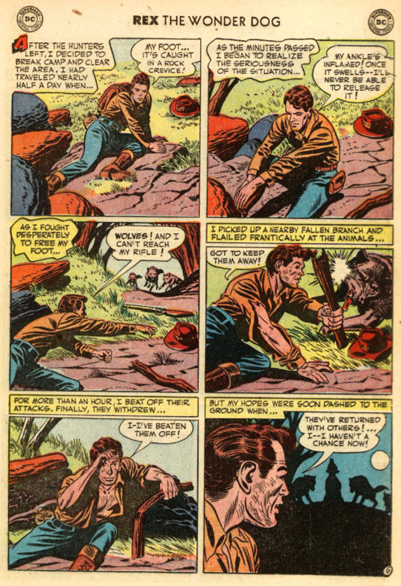 Read online The Adventures of Rex the Wonder Dog comic -  Issue #1 - 17