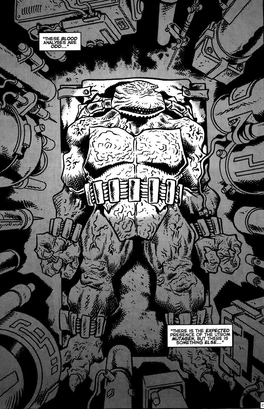 TMNT: Teenage Mutant Ninja Turtles Issue #14 #14 - English 19