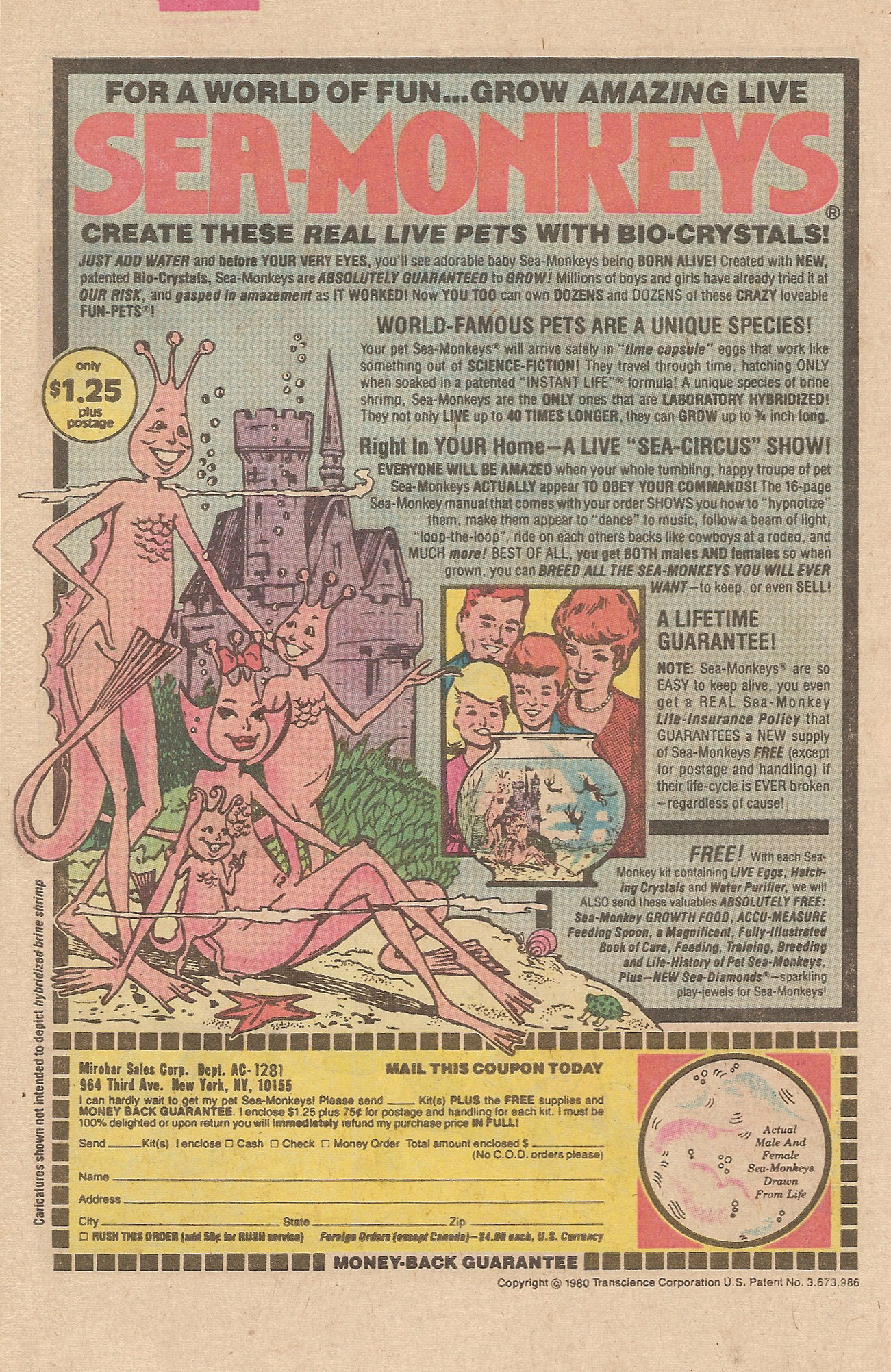 Read online Pep Comics comic -  Issue #381 - 34