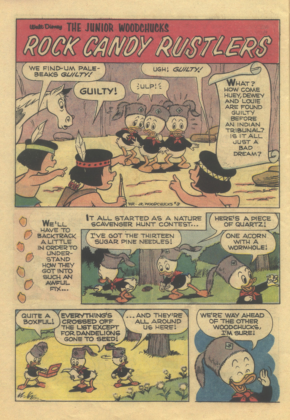 Read online Huey, Dewey, and Louie Junior Woodchucks comic -  Issue #24 - 26