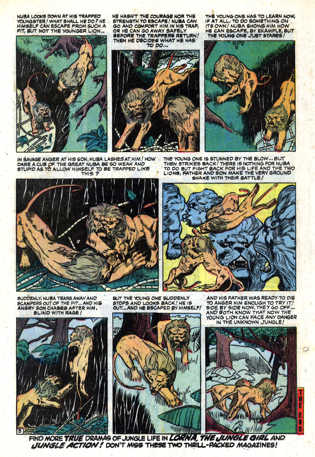 Read online Jungle Tales comic -  Issue #1 - 24