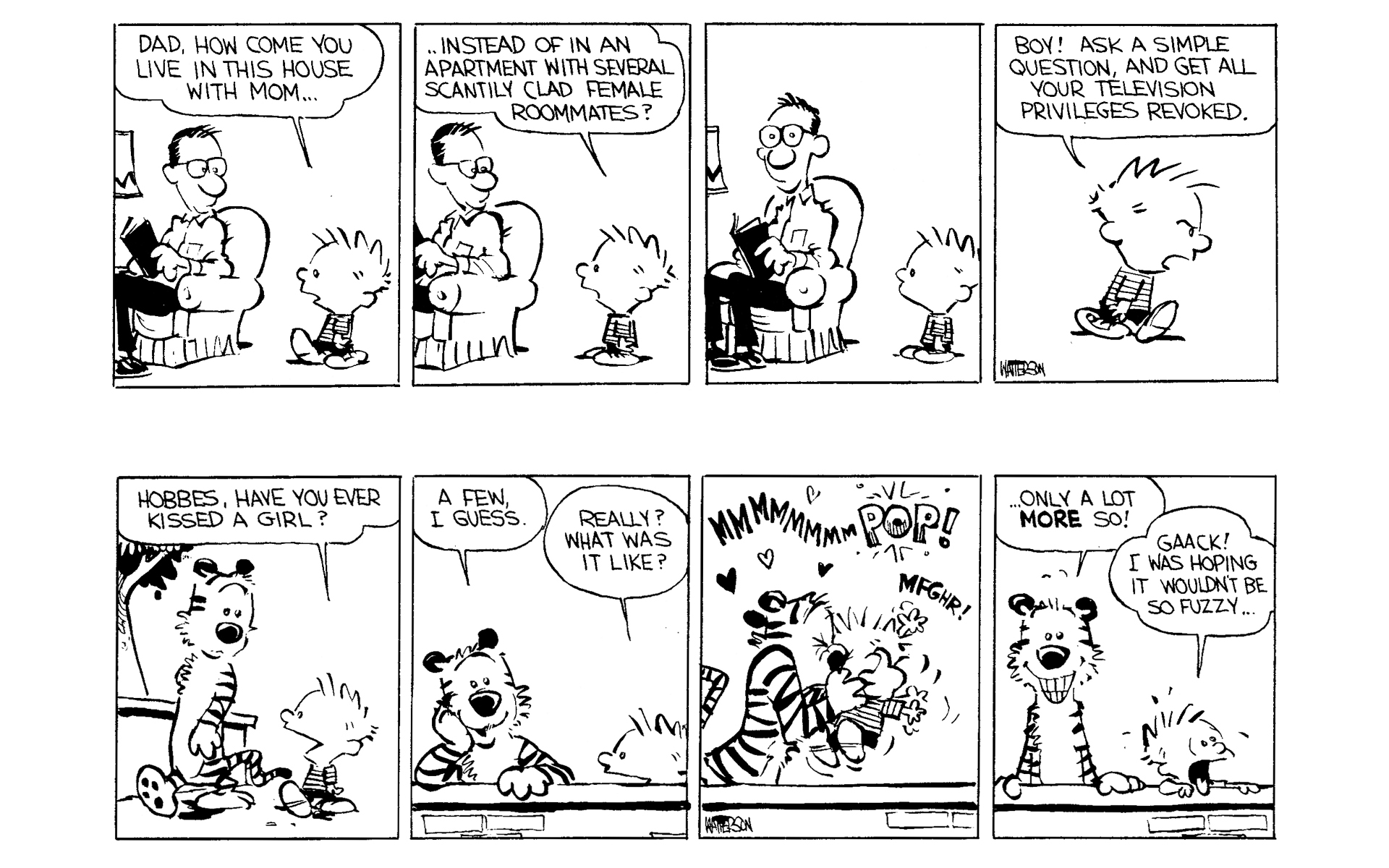 Read online Calvin and Hobbes comic -  Issue #1 - 31