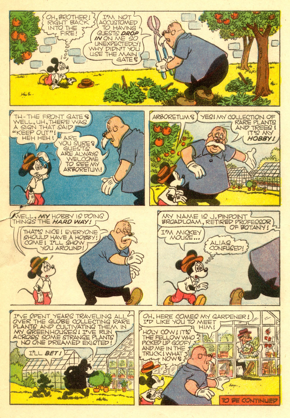 Read online Walt Disney's Comics and Stories comic -  Issue #253 - 32