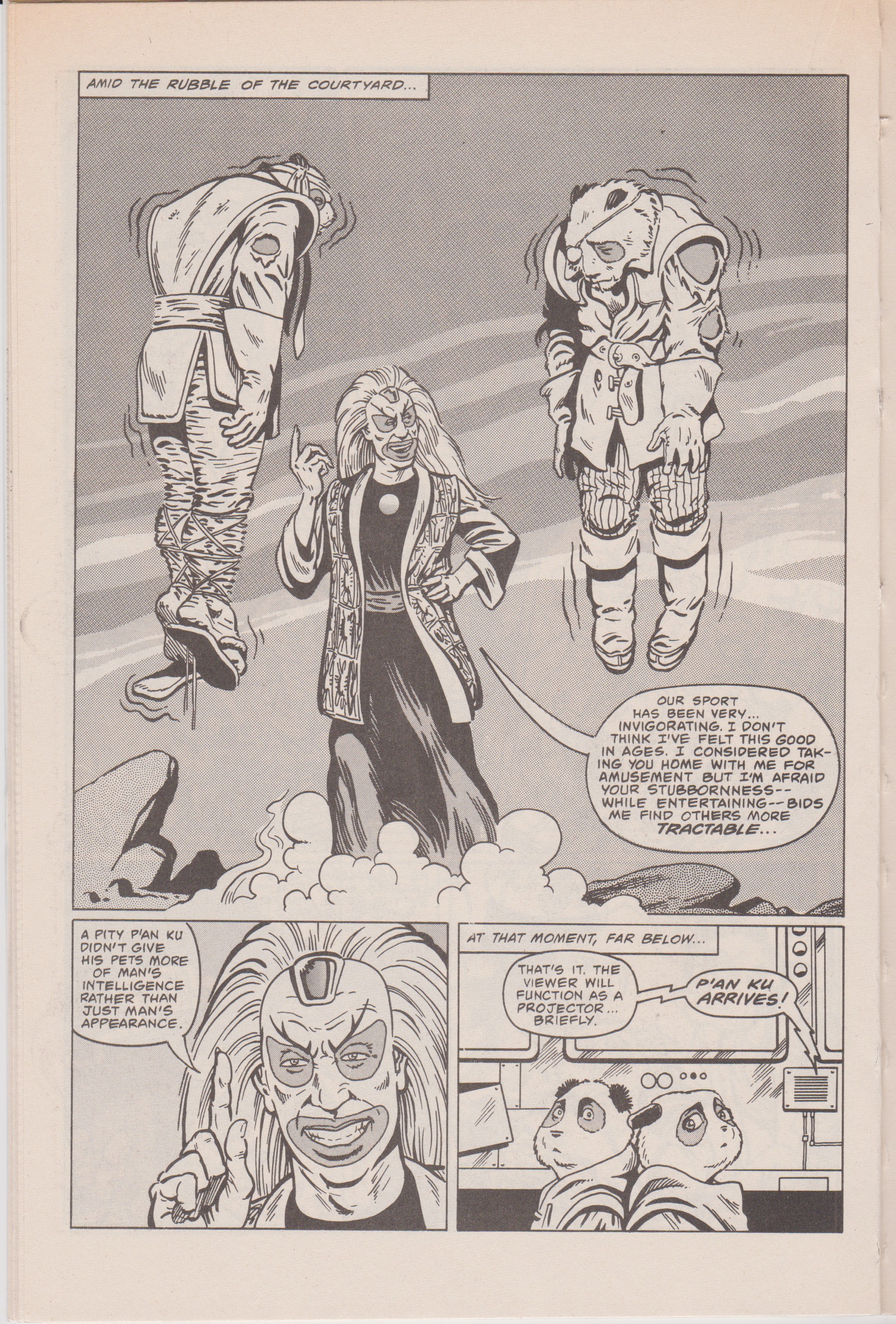Read online The Chronicles of Panda Khan comic -  Issue #2 - 20