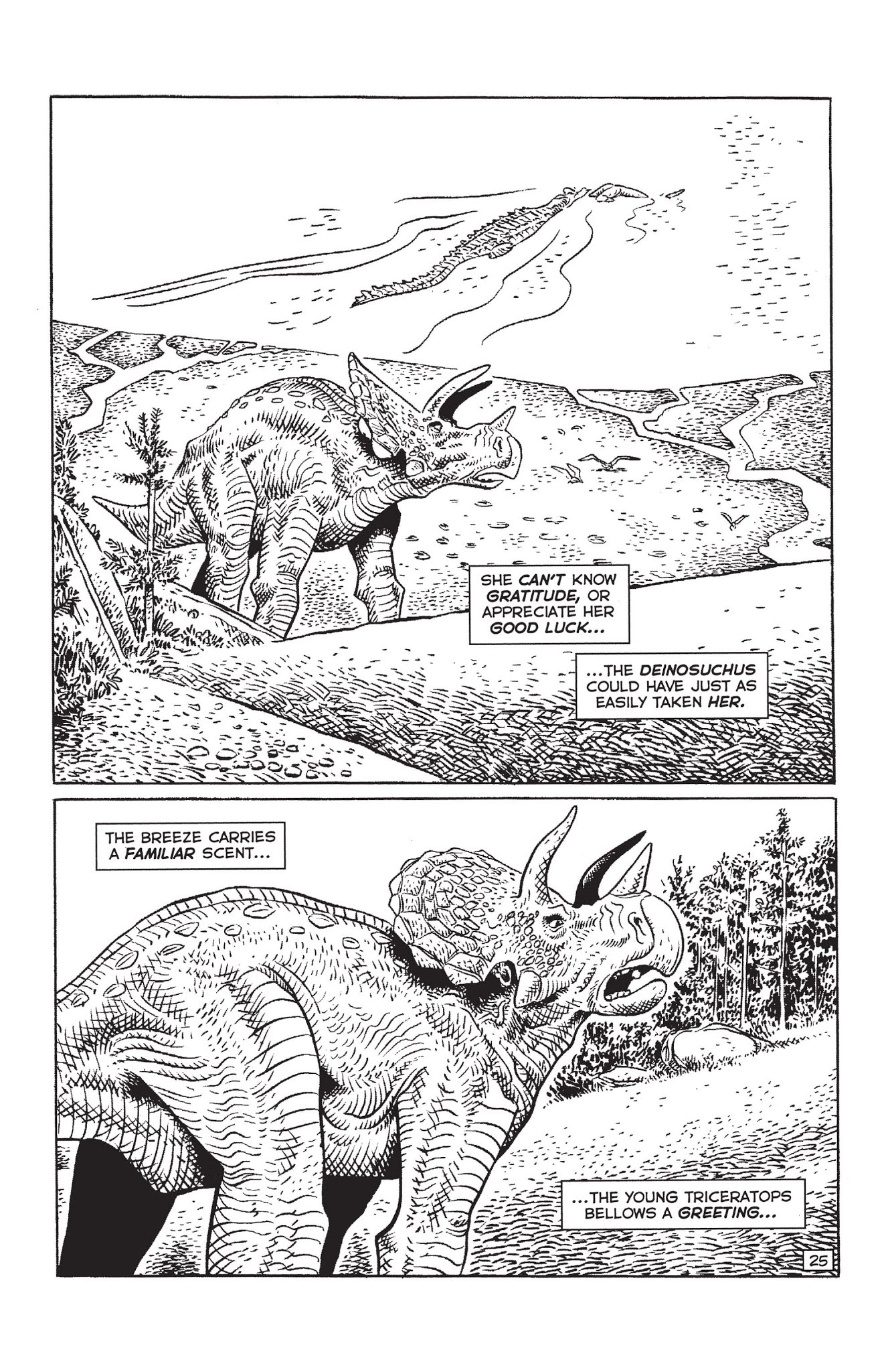 Read online Paleo: Tales of the late Cretaceous comic -  Issue # TPB (Part 1) - 40