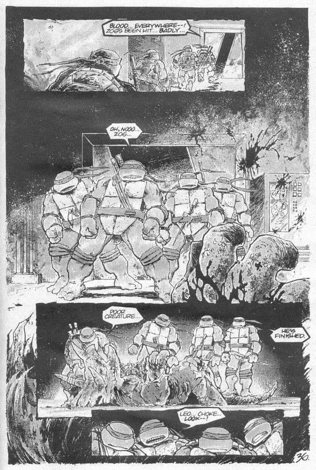 Teenage Mutant Ninja Turtles (1984) Issue #20 #20 - English 35
